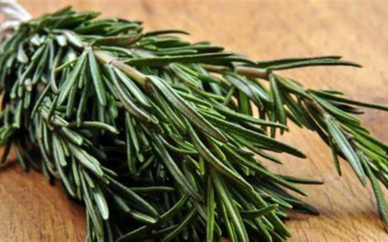 Non piantare questo vicino al rosmarino: ecco gli abbinamenti migliori per un orto sano