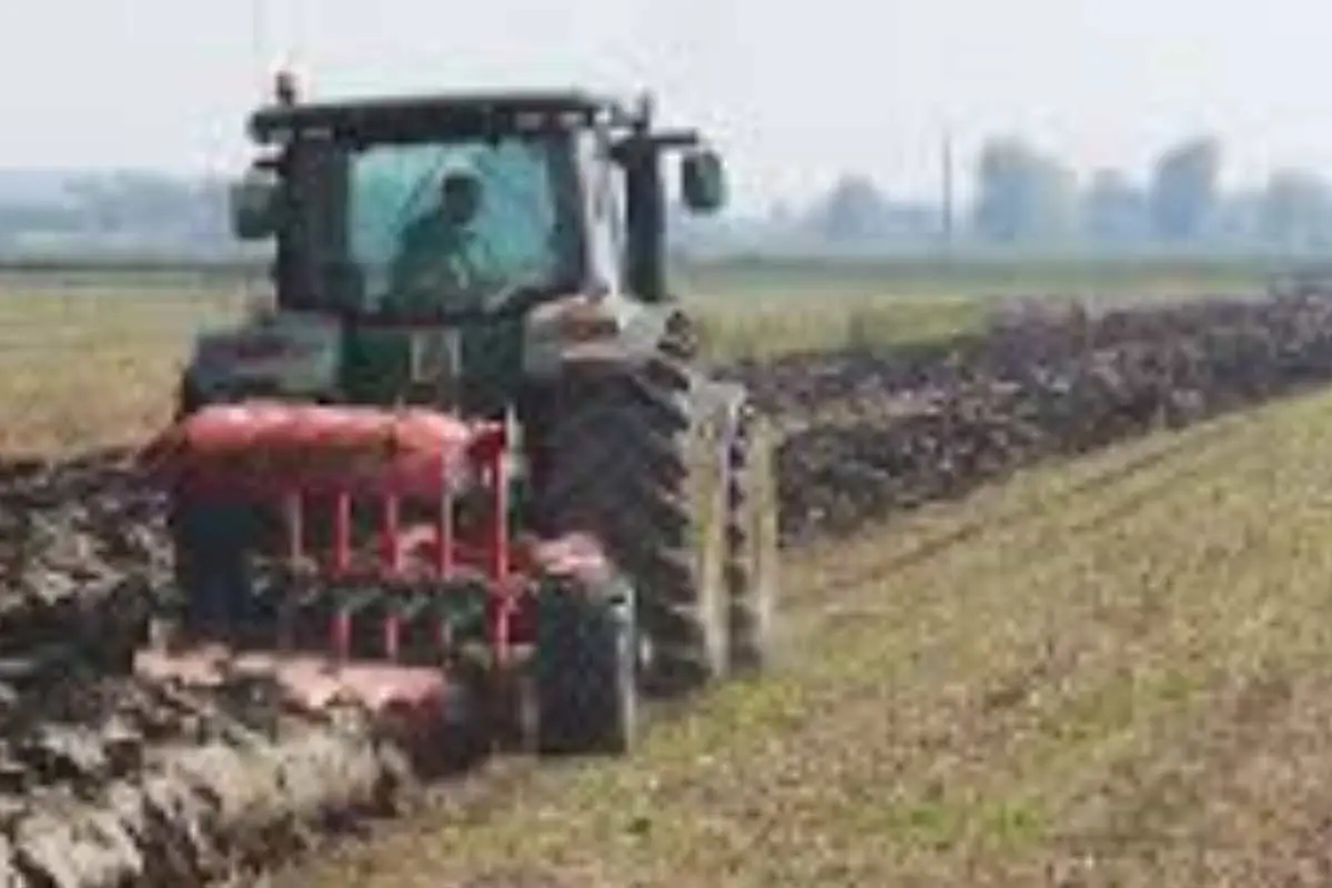 Terra troppo compatta e dura? Ecco l’attrezzo indispensabile per frantumare le zolle velocemente