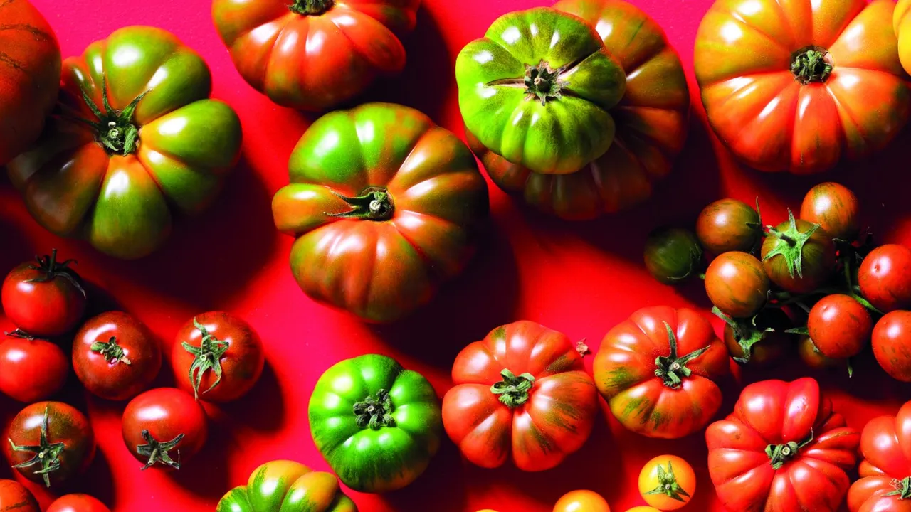 Pomodori bloccati o ingialliti? Ecco il trucco naturale per rinvigorirli subito e avere più frutti